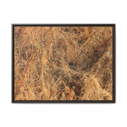 Dried Vegetation Study - Unique Stretched Canvas Wall Art - Art By Earth