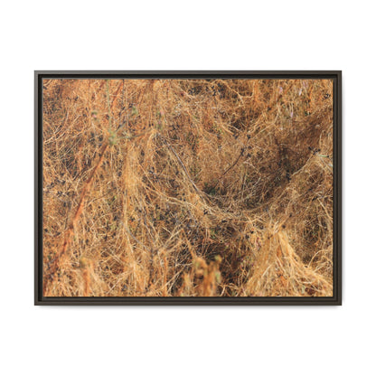 Dried Vegetation Study - Unique Stretched Canvas Wall Art - Art By Earth
