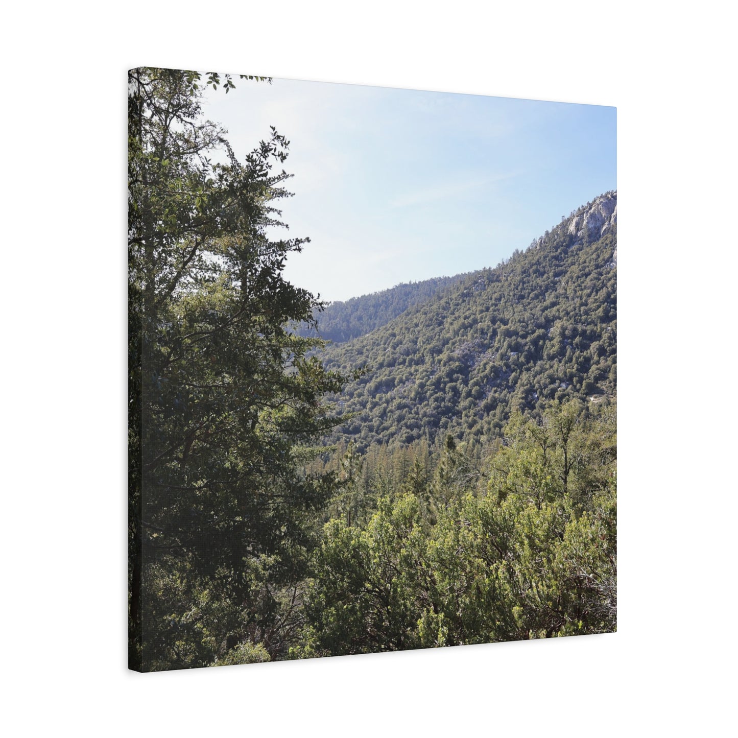 Mountain Vista Through Forest - Unique Frameless Canvas Wall Art