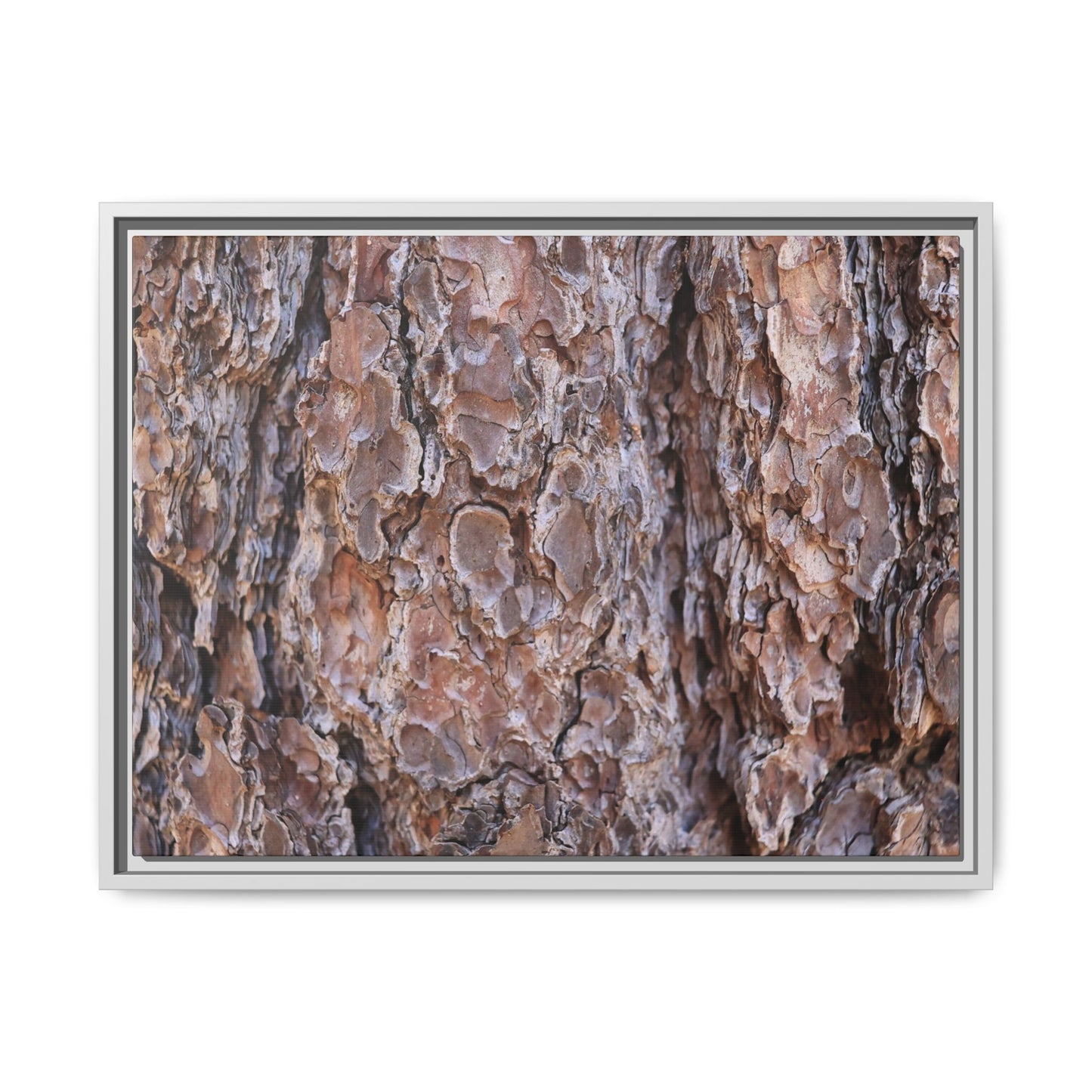 Woody Layers - Unique Stretched Canvas Wall Art - Art By Earth