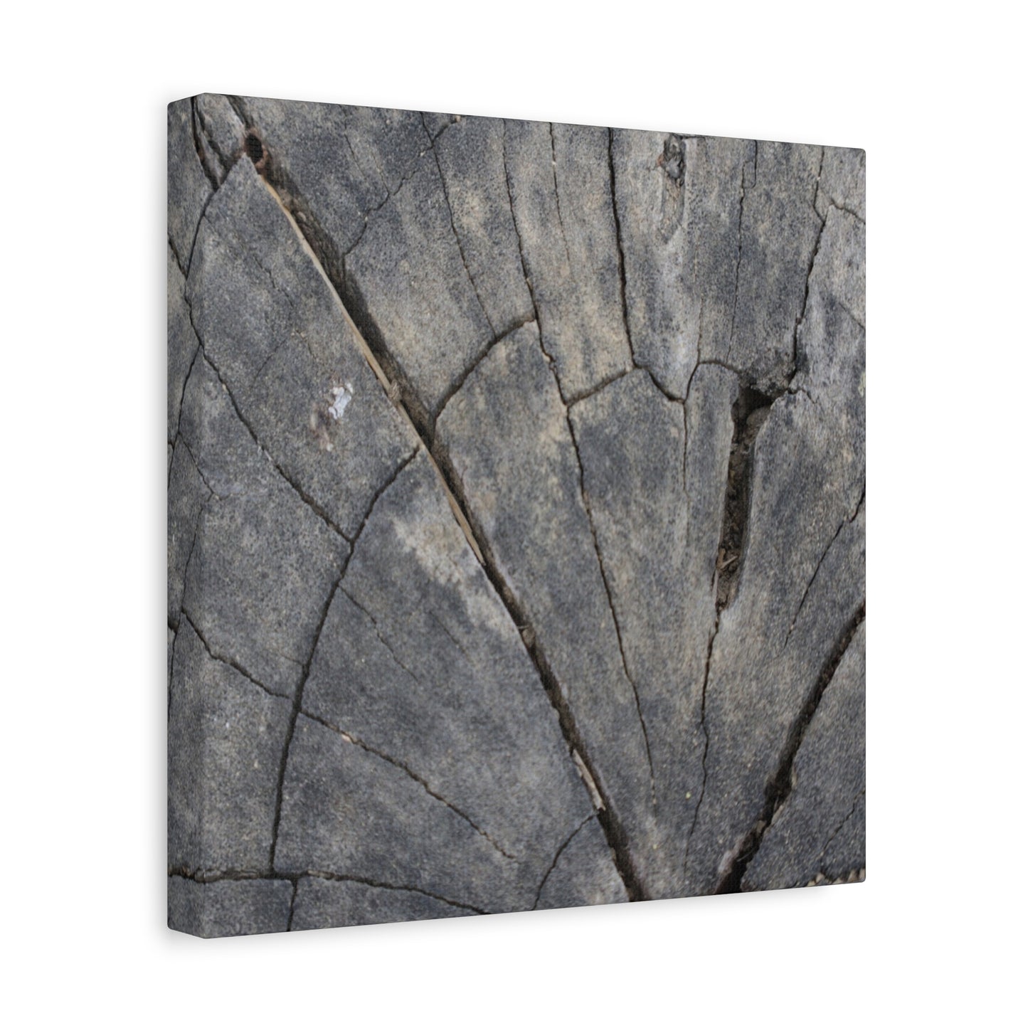 Geological Mosaic - Unique Frameless Canvas Wall Art - Art By Earth