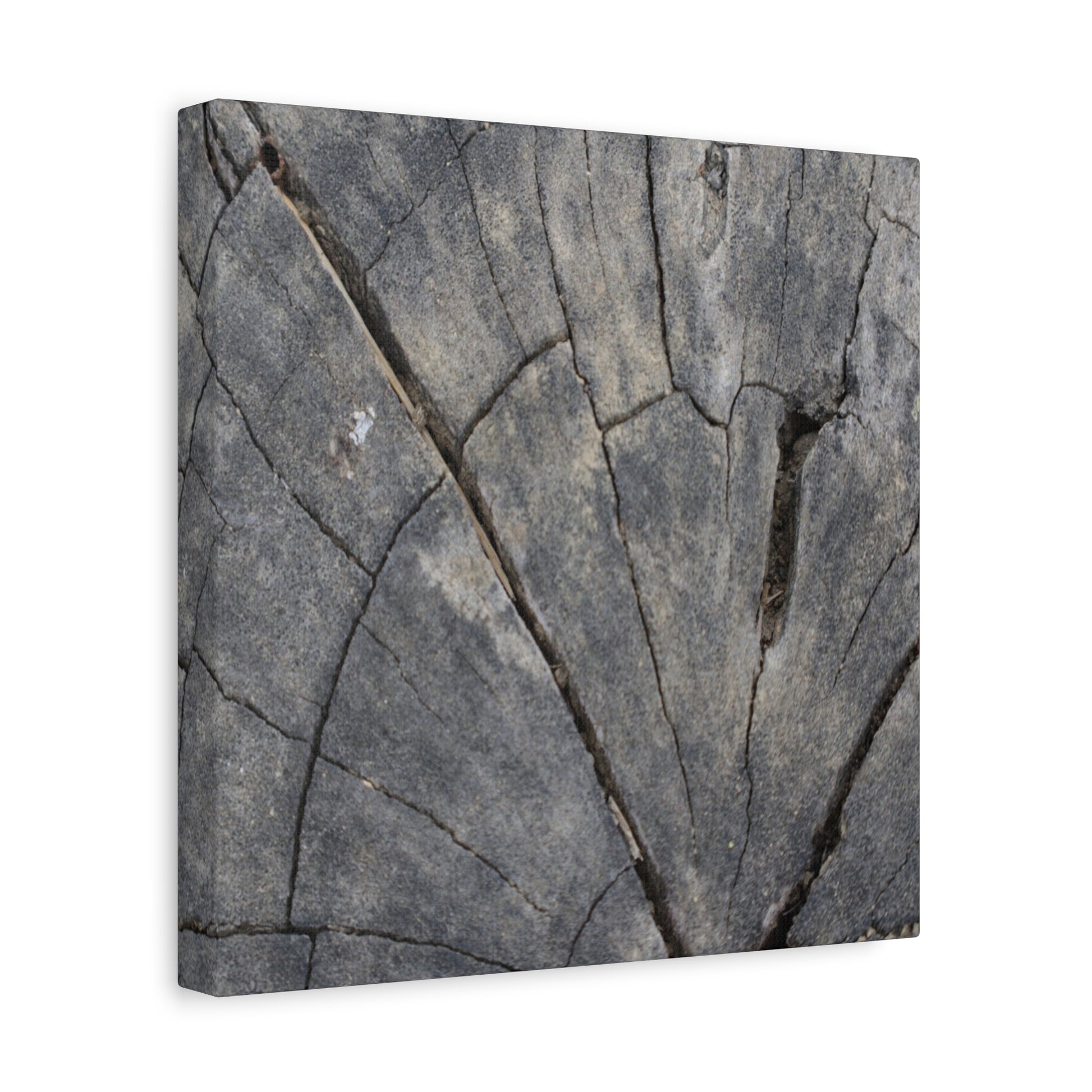 Geological Mosaic - Unique Frameless Canvas Wall Art - Art By Earth