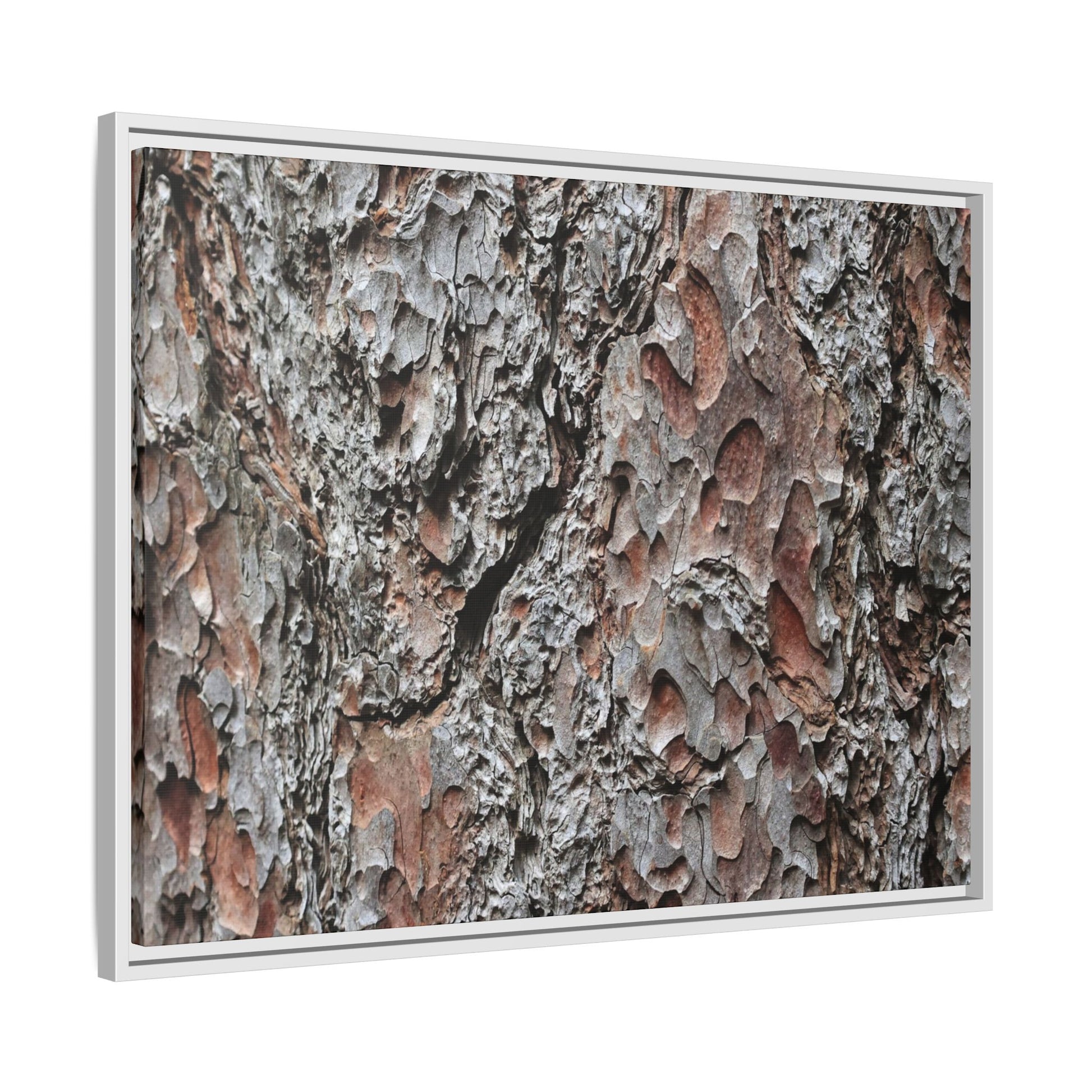 Bark Texture Symphony - Unique Stretched Canvas Wall Art - Art By Earth