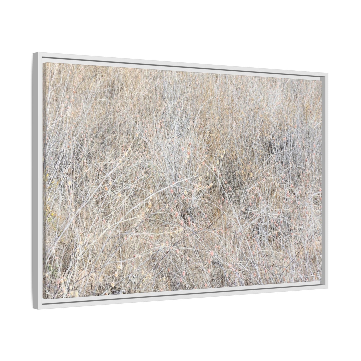 Whispers of Dry Grass - Unique Stretched Canvas Wall Art - Art By Earth