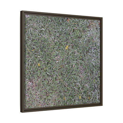 Grassy Texture - Unique Stretched Canvas Wall Art - Art By Earth