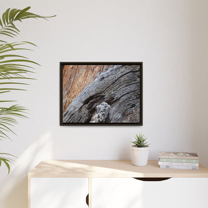 Time's Mark on Timber - Unique Stretched Canvas Wall Art - Art By Earth