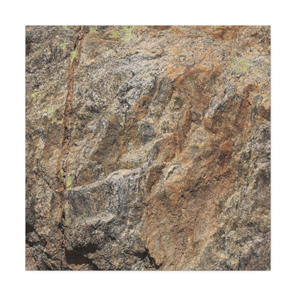 Erosion's Palette - Unique Frameless Canvas Wall Art - Art By Earth