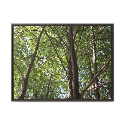 Forest Branches - Unique Stretched Canvas Wall Art