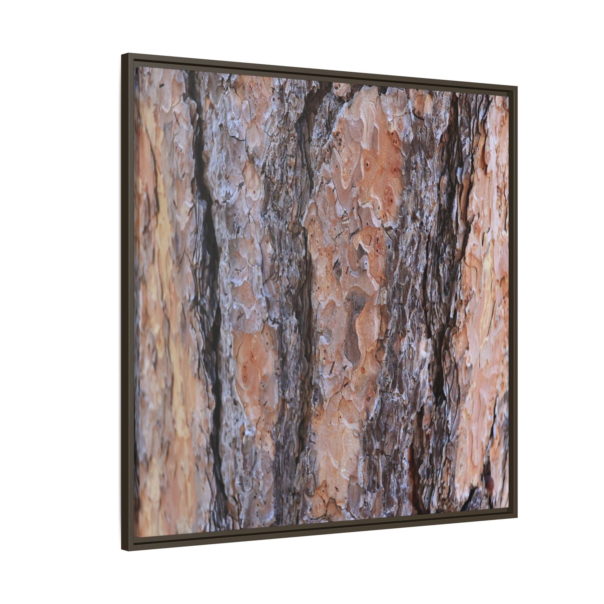 Earthy Embrace - Unique Stretched Canvas Wall Art - Art By Earth