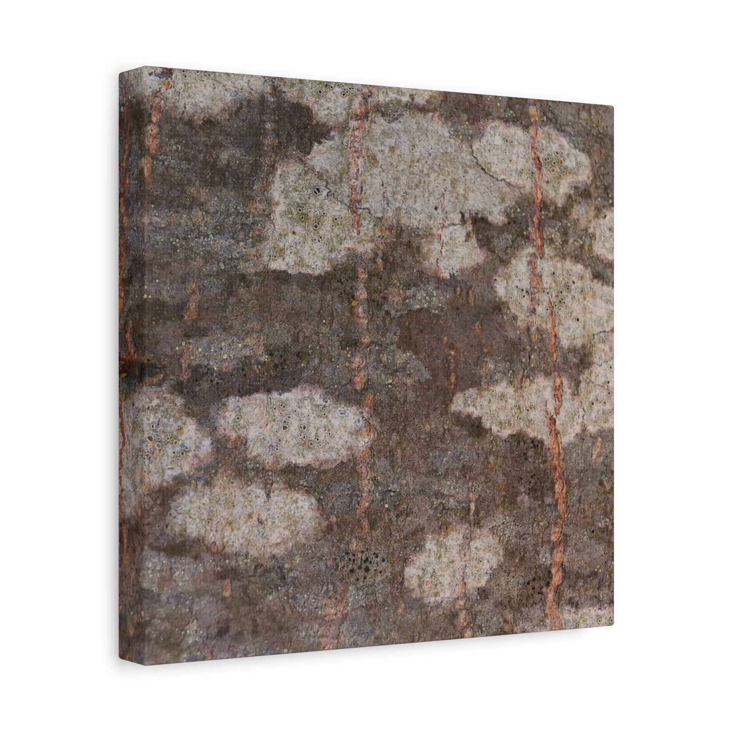 Earthen Memoir - Unique Frameless Canvas Wall Art - Art By Earth