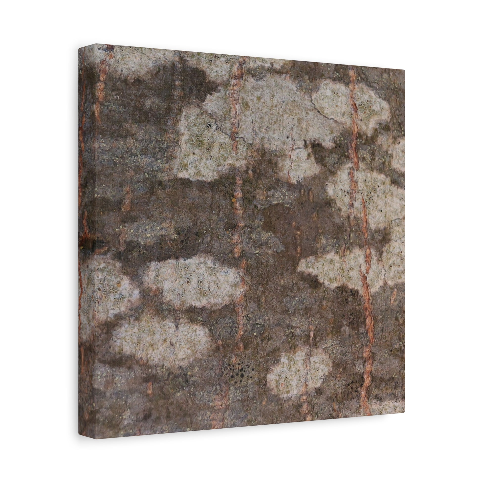 Earthen Memoir - Unique Frameless Canvas Wall Art - Art By Earth