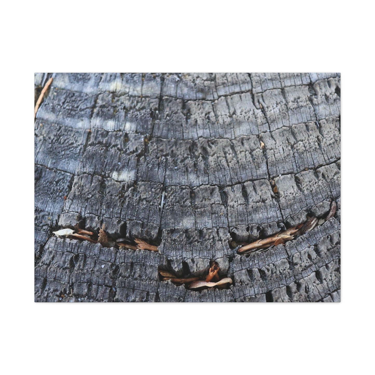 Time's Fractal Whispers - Unique Frameless Canvas Wall Art - Art By Earth