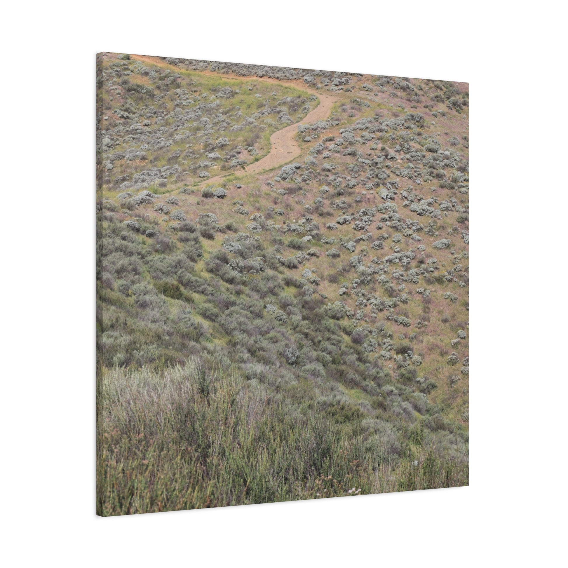 Desert Path Through Sagebrush - Unique Frameless Canvas Wall Art - Art By Earth
