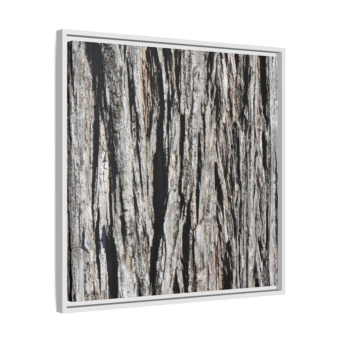 Bark Lines - Unique Stretched Canvas Wall Art - Art By Earth