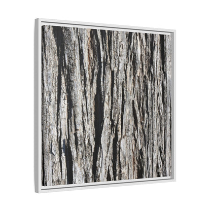 Bark Lines - Unique Stretched Canvas Wall Art - Art By Earth
