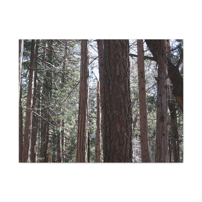 Vertical Sentinels - Unique Frameless Canvas Wall Art - Art By Earth