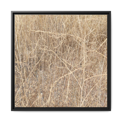 Golden Stalks - Unique Stretched Canvas Wall Art - Art By Earth
