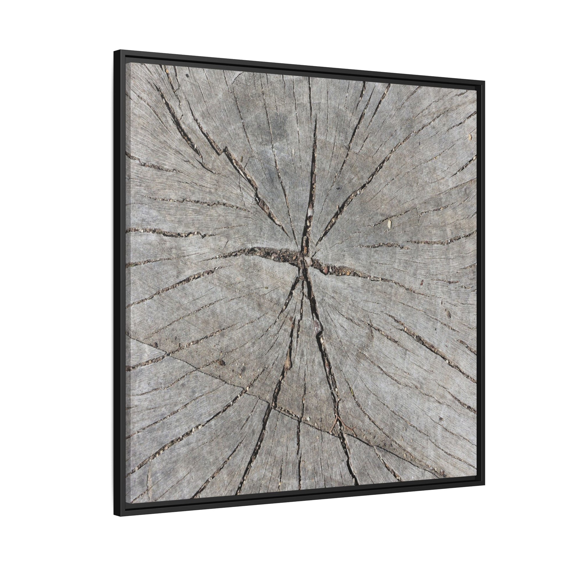 Fractured Memories - Unique Stretched Canvas Wall Art - Art By Earth