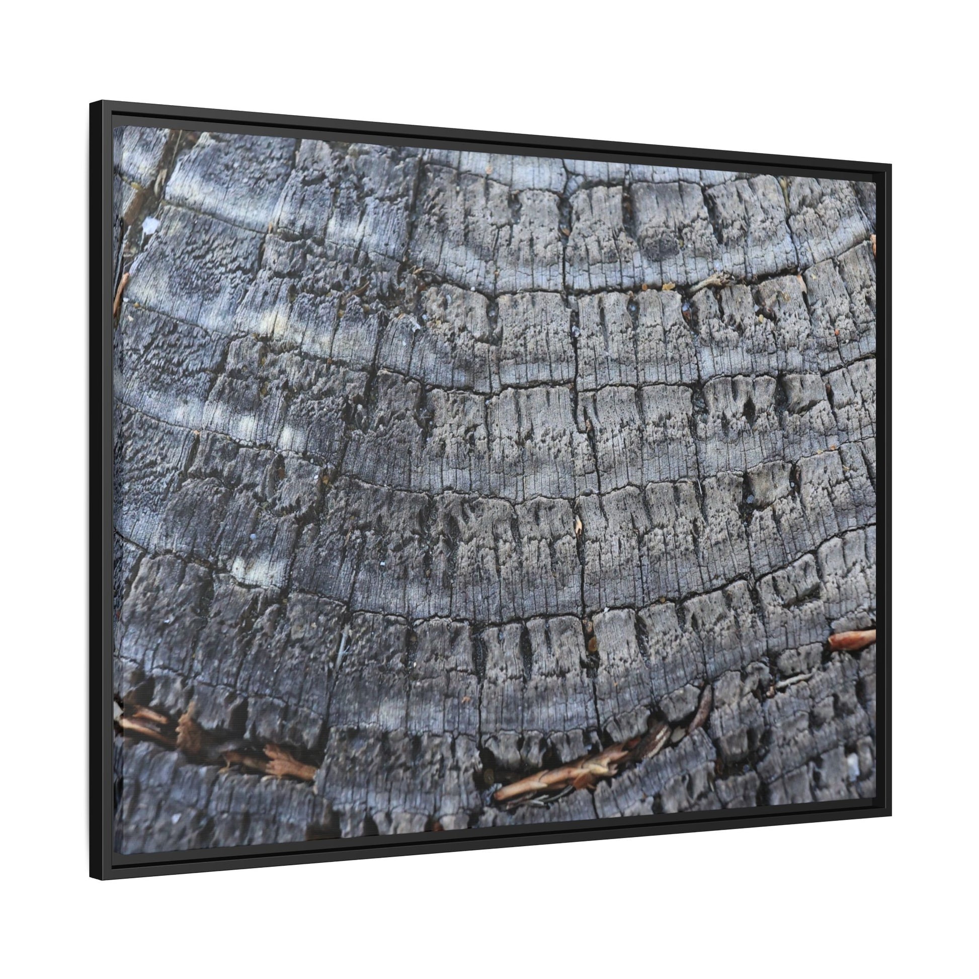 Charred Memories - Unique Stretched Canvas Wall Art - Art By Earth
