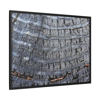 Charred Memories - Unique Stretched Canvas Wall Art - Art By Earth