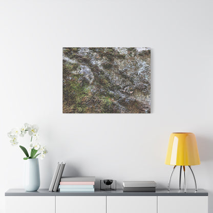 Moss Tapestry - Unique Frameless Canvas Wall Art - Art By Earth