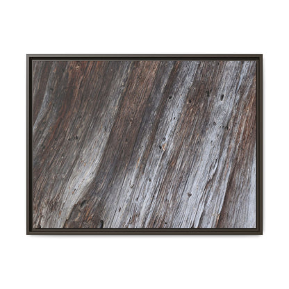 Aged Timber Texture - Unique Stretched Canvas Wall Art - Art By Earth