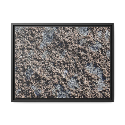 Textured Ground - Unique Stretched Canvas Wall Art