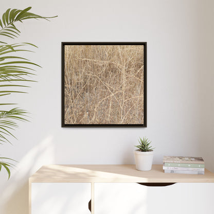 Golden Stalks - Unique Stretched Canvas Wall Art - Art By Earth