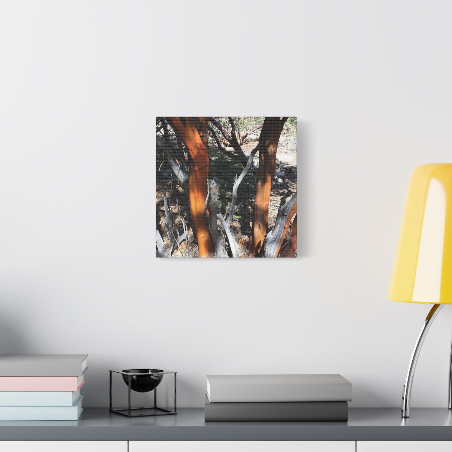 Peeling Bark of Ancient Trees - Unique Frameless Canvas Wall Art