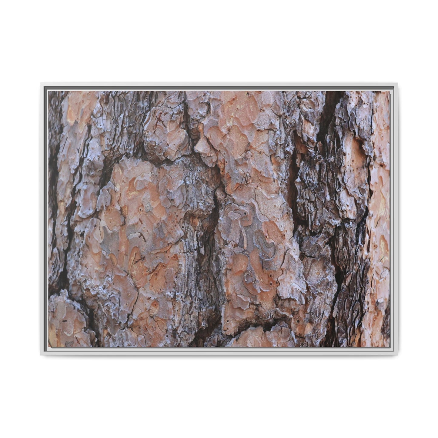 Tree Skin Symphony - Unique Stretched Canvas Wall Art - Art By Earth