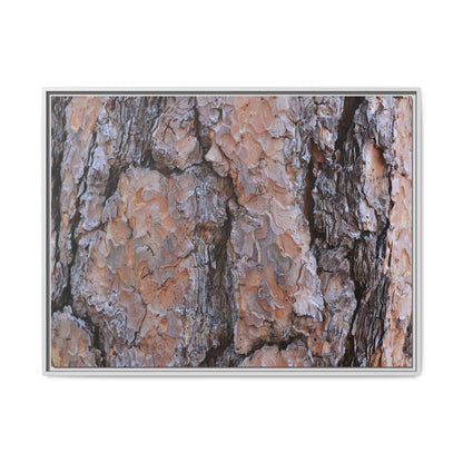 Tree Skin Symphony - Unique Stretched Canvas Wall Art - Art By Earth