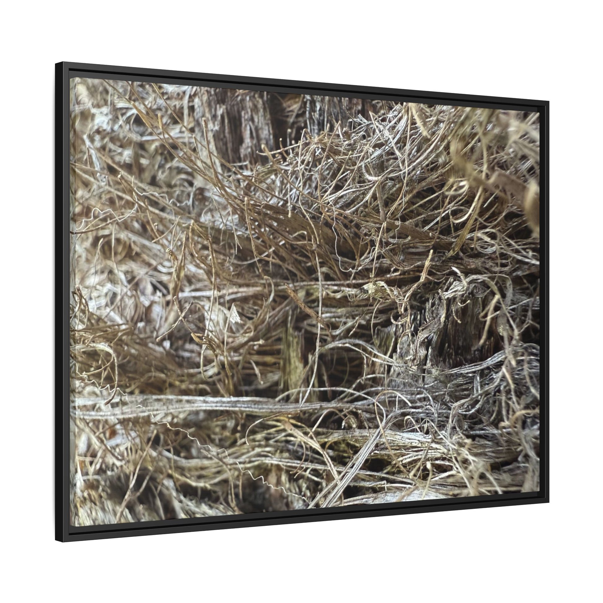 Tangled Whispers of Autumn - Unique Stretched Canvas Wall Art - Art By Earth