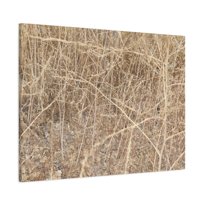 Dry Echoes - Unique Frameless Canvas Wall Art - Art By Earth