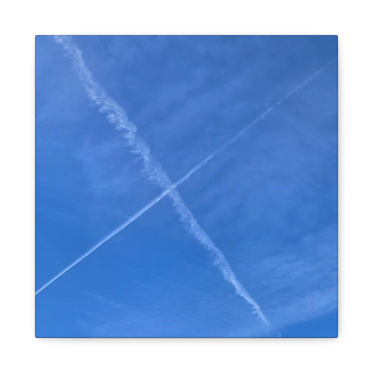 Crossing Paths - Unique Frameless Canvas Wall Art - Art By Earth