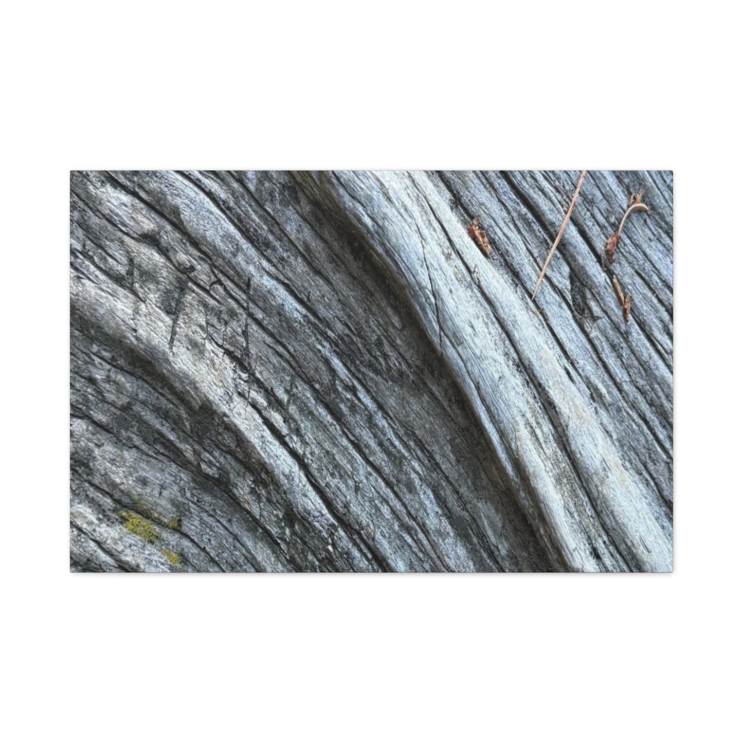 Aged Surface - Unique Frameless Canvas Wall Art - Art By Earth