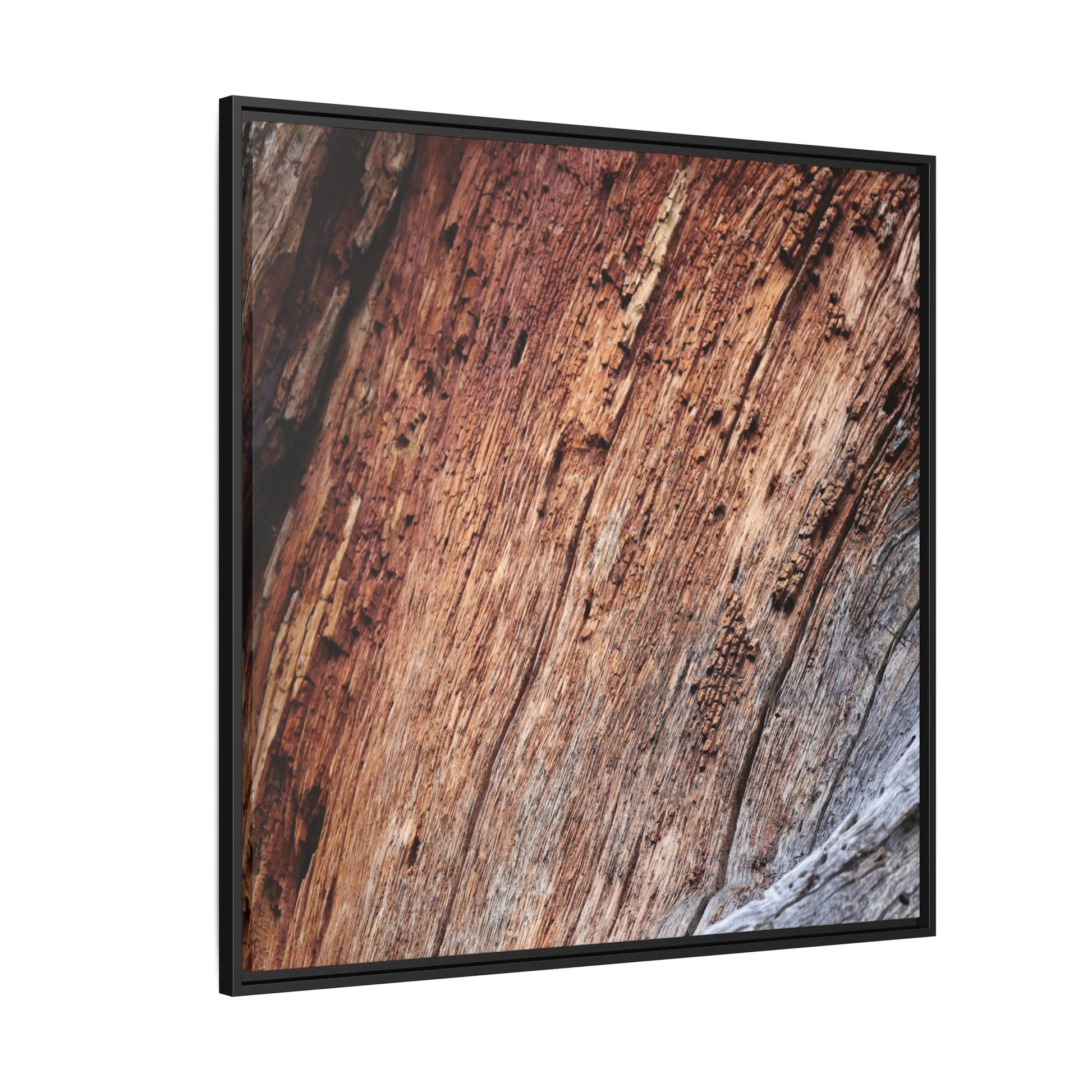 Time's Mark - Unique Stretched Canvas Wall Art - Art By Earth