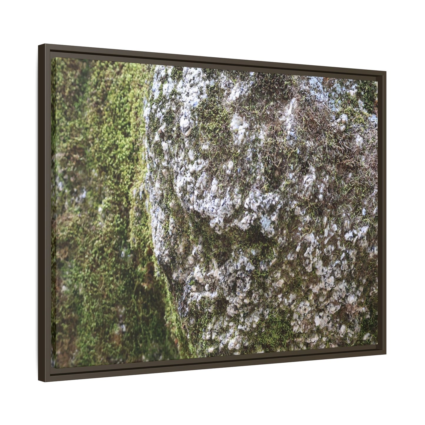 Lichen Landscape - Unique Stretched Canvas Wall Art - Art By Earth