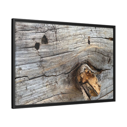 Weathered Wood Texture - Unique Stretched Canvas Wall Art - Art By Earth