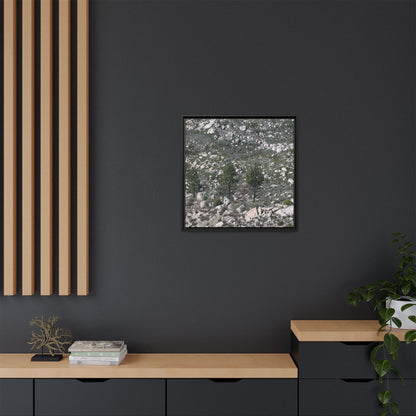 Rocky Hillside with Pine Trees - Unique Stretched Canvas Wall Art - Art By Earth