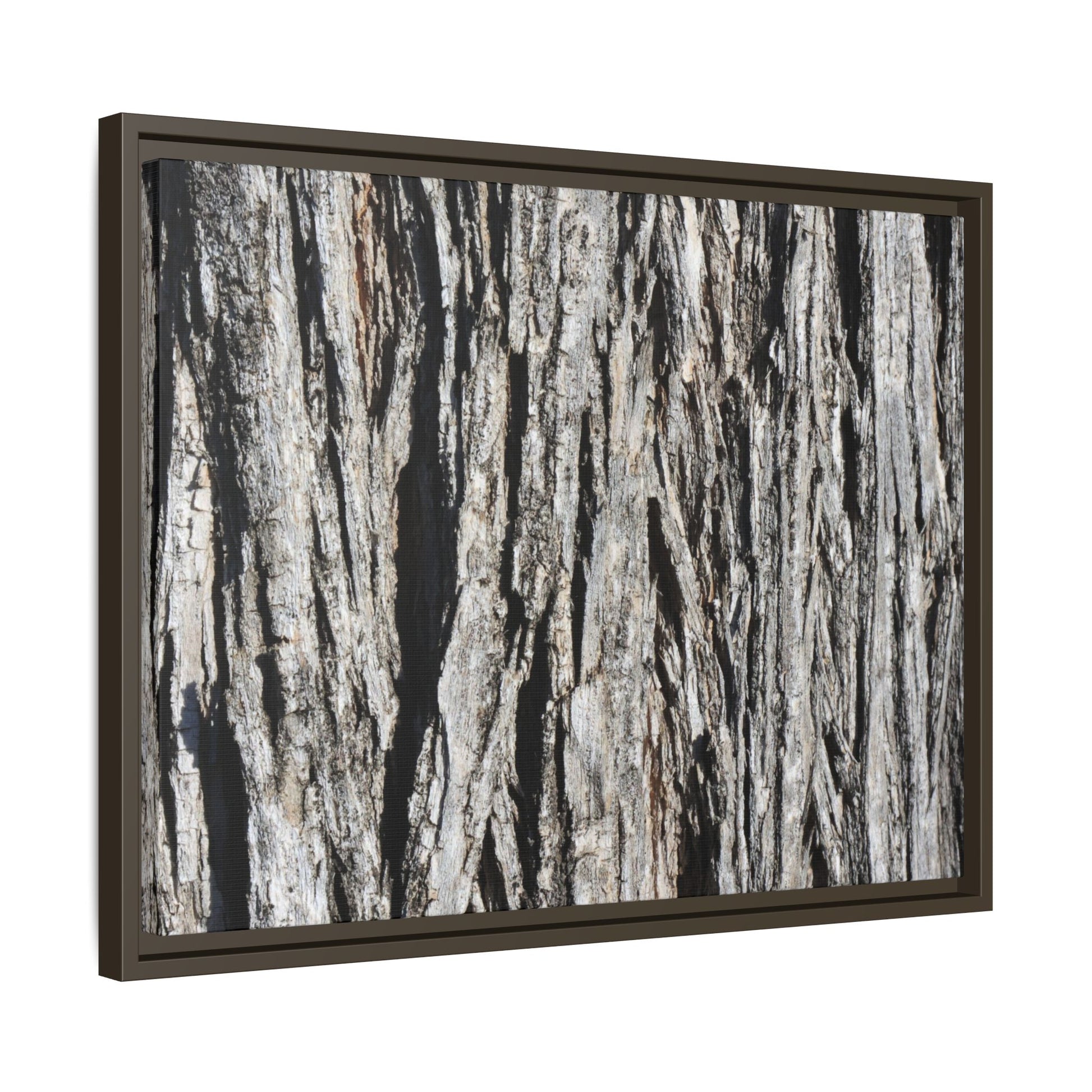 Nature's Abstract - Unique Stretched Canvas Wall Art - Art By Earth