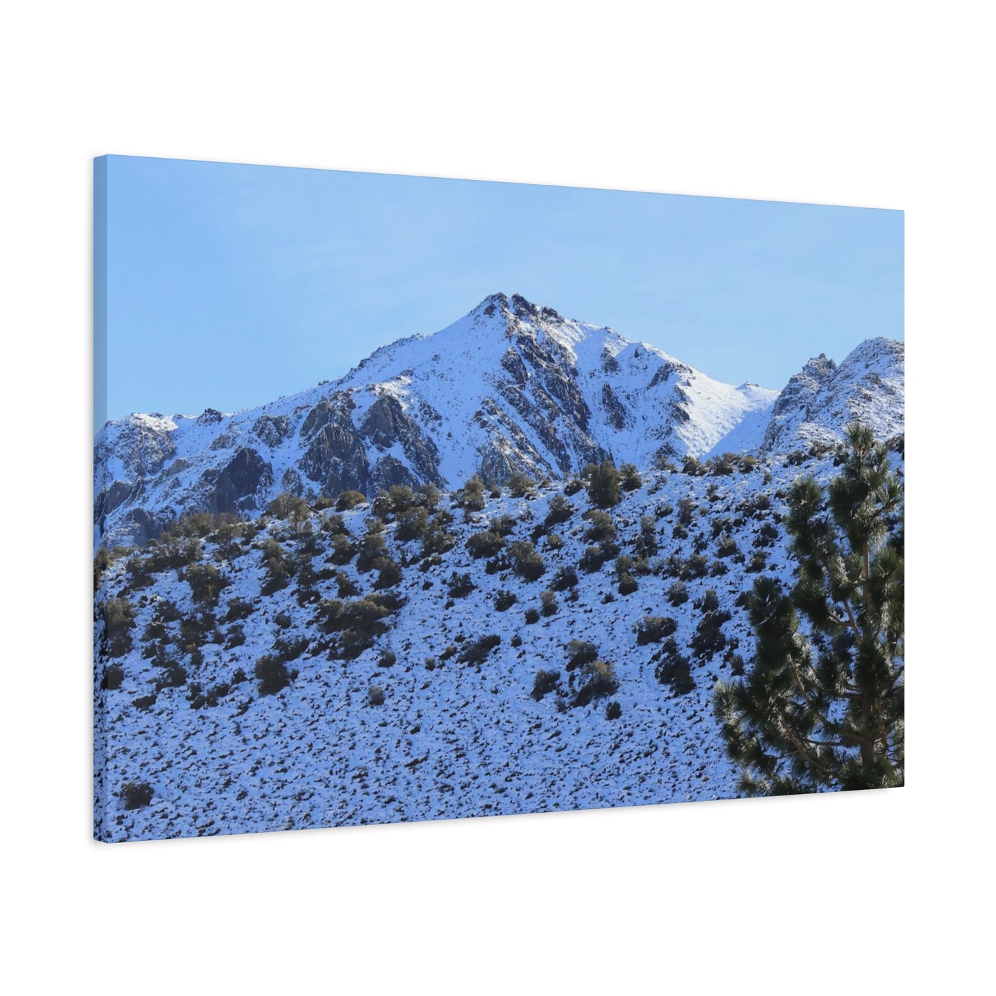 Snowy Peaks and Stoic Pines - Unique Frameless Canvas Wall Art