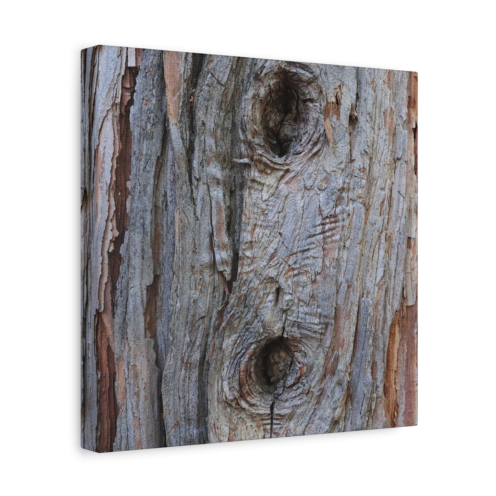 Wooden Memoir - Unique Frameless Canvas Wall Art - Art By Earth