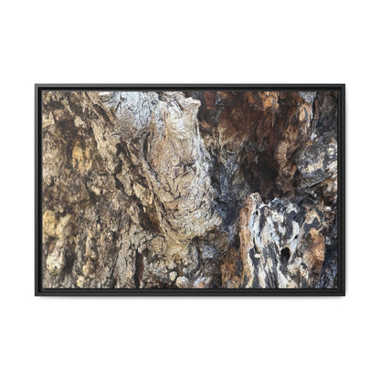Ancient Tree Texture - Unique Stretched Canvas Wall Art - Art By Earth