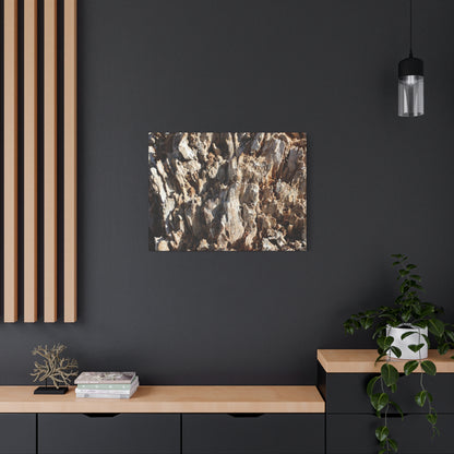 Decaying Bark Symphony - Unique Frameless Canvas Wall Art
