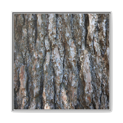 Bark Whispers - Unique Stretched Canvas Wall Art - Art By Earth
