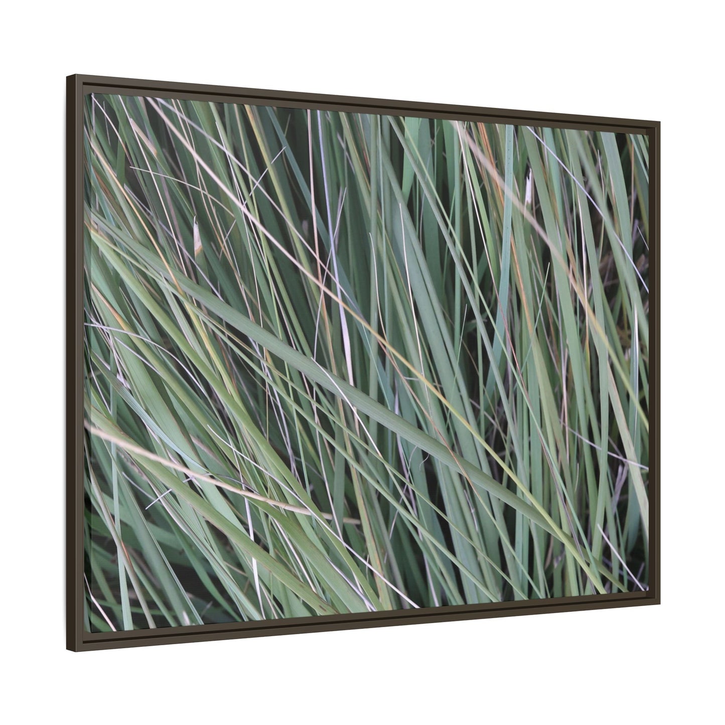 Grassland Symphony - Unique Stretched Canvas Wall Art - Art By Earth