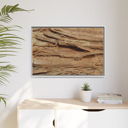 Splintered Bark - Unique Stretched Canvas Wall Art - Art By Earth