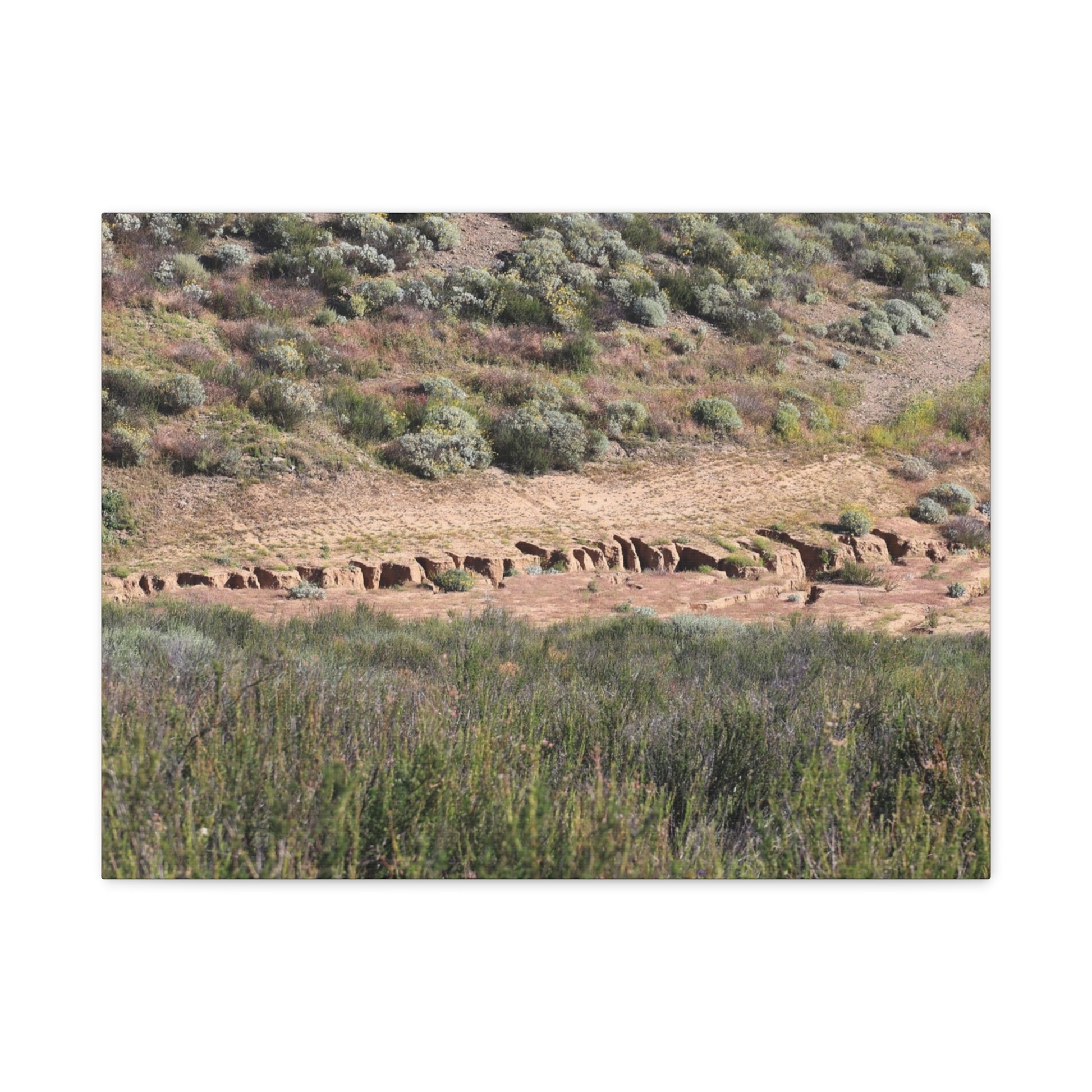 Ancient Dwellings in the Desert Valley - Unique Frameless Canvas Wall Art - Art By Earth