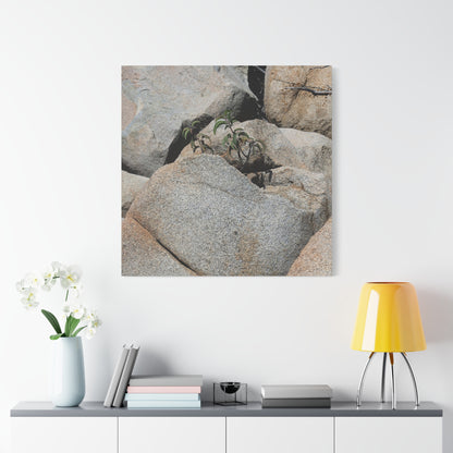 Desert Plant Survives - Unique Frameless Canvas Wall Art