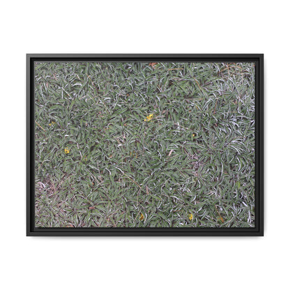 Grassy Texture - Unique Stretched Canvas Wall Art - Art By Earth